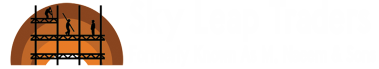 skyleap-logo1